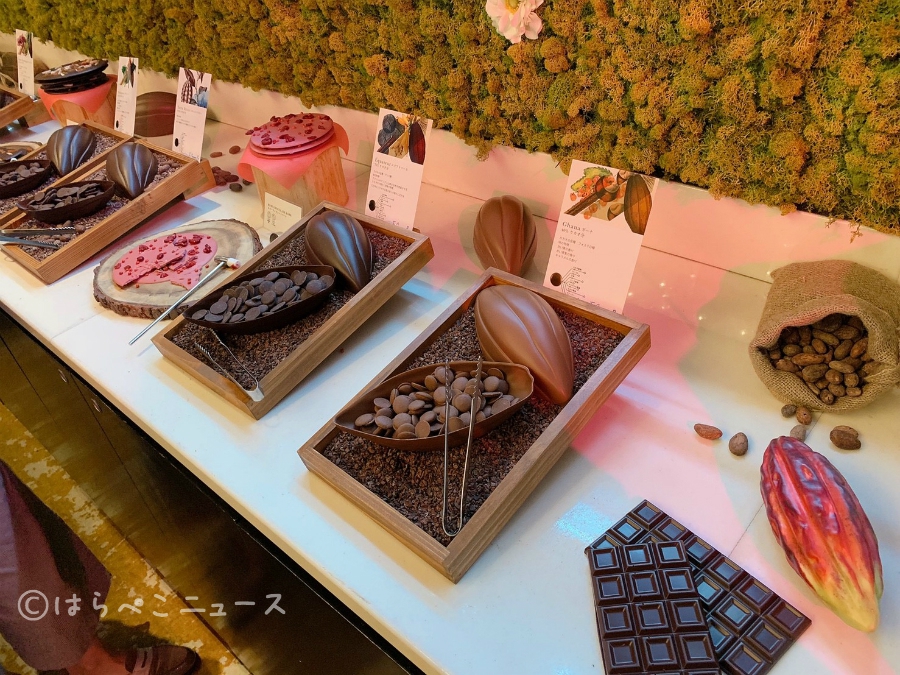 【実食レポ】ルビーチョコレートのデザートブッフェ「ANAインターコンチネンタルホテル東京」