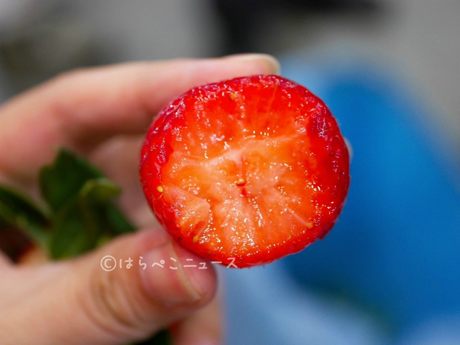 【試食レポ】いちごさん市場デビュー！佐賀県発の新品種いちごは凛と美しく華やかでやさしい甘さ！