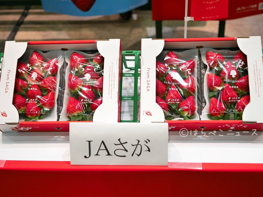 【試食レポ】いちごさん市場デビュー！佐賀県発の新品種いちごは凛と美しく華やかでやさしい甘さ！