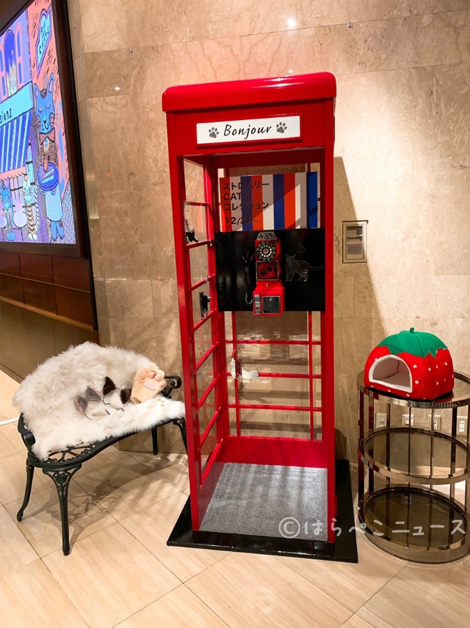 【潜入レポ】ヒルトン東京 いちごビュッフェ「ストロベリーCATSコレクション」猫とスイーツの癒し空間へ！