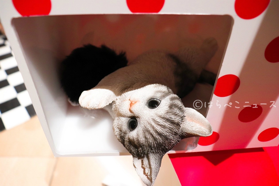 【潜入レポ】ヒルトン東京 いちごビュッフェ「ストロベリーCATSコレクション」猫とスイーツの癒し空間へ！