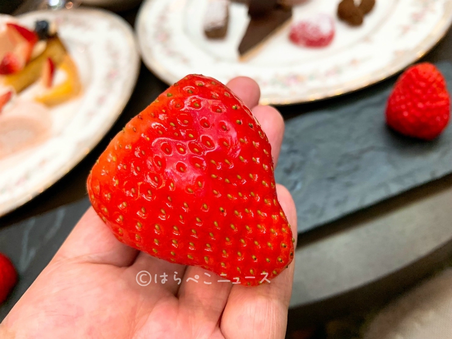 【潜入レポ】京都ブライトンホテルのいちごビュッフェで5種の苺の食べ比べプレート！焼きカレーも絶品！