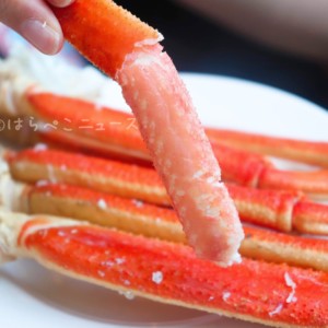 【実食レポ】『北海道フェア』ベストウェスタンレンブラントホテル東京町田「パームツリー」で蟹食べ放題!