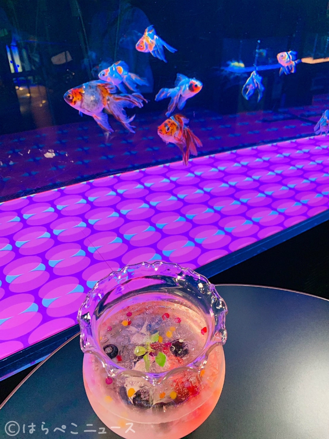 【体験レポ】「すみだ水族館」で金魚ソーダ！『東京金魚ワンダーランド2019』で金魚形ゼリーすくい！