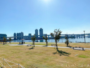 【実食レポ】豊洲でバーベキュー「THE BBQ BEACH in TOYOSU」でホタテにマグロテール食べ放題！