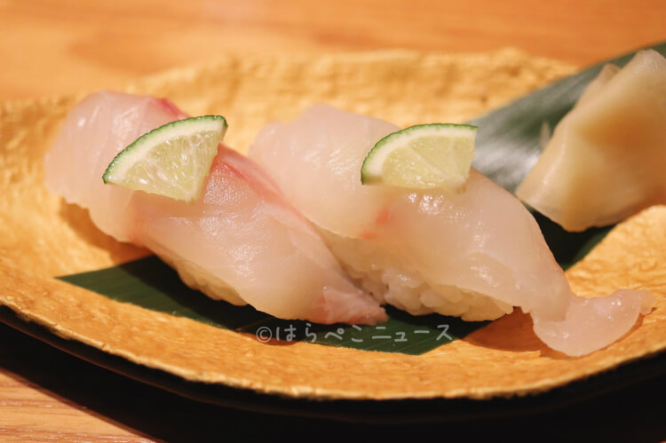 【実食レポ】『木曽路』クエ鍋フルコース！幻の高級魚「クエ」の握り寿司やクエ唐揚げも登場！