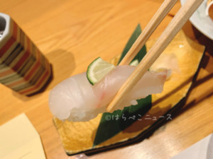 【実食レポ】『木曽路』クエ鍋フルコース！幻の高級魚「クエ」の握り寿司やクエ唐揚げも登場！