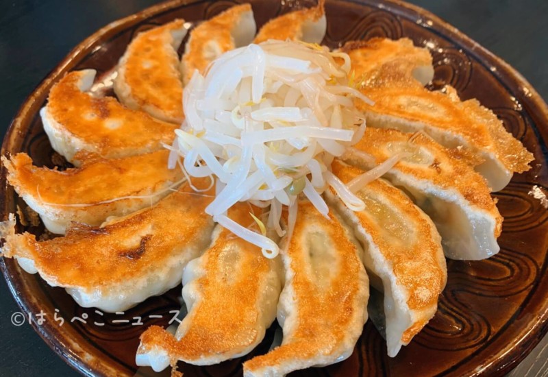 【お取り寄せ餃子まとめ】宇都宮・浜松・宮崎・前橋・京都等の人気餃子を通販で!おすすめ生餃子にギフト用も