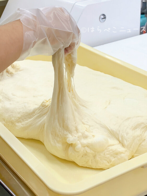 【実食レポ】『王道の王道』高級食パン専門店が八王子市に誕生！プレーン・レーズンにサクサクのラスクも！