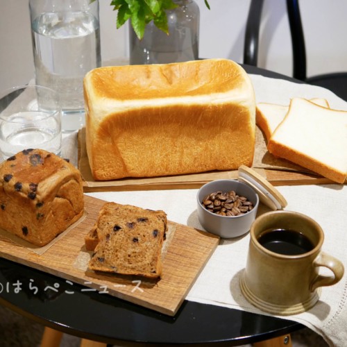 【実食レポ】フレシャス× 「ふじ森」天然水食パン『FUJI（ふじ）』コーヒー味はチョコレートチップ入り！