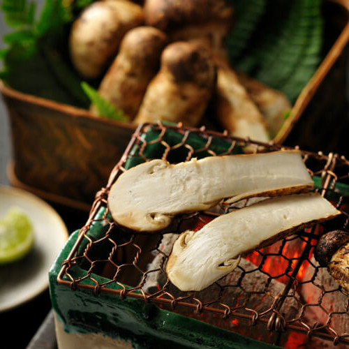 【松茸料理2020まとめ】松茸ご飯・松茸会席・松茸づくしコース!松茸を使用したビュッフェや宿泊プランも!