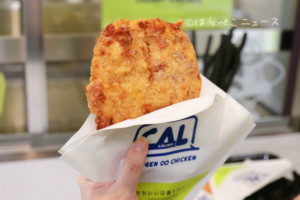 【実食レポ】『CHUBBY AIRLINES(チャビーエアラインズ)』無限∞チキンとポテトが真っ黒に！
