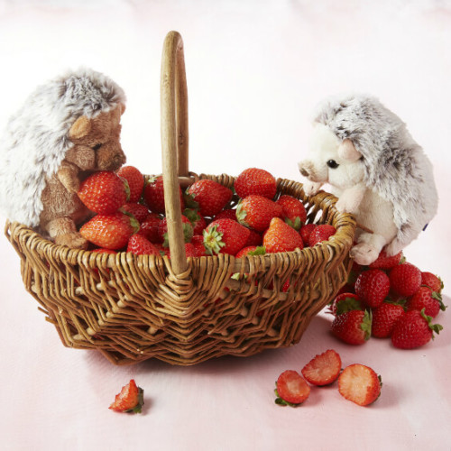 【いちごビュッフェ×ハリネズミ】ANAインターコンチネンタルホテル東京「シャンパンバー」で生苺食べ比べ
