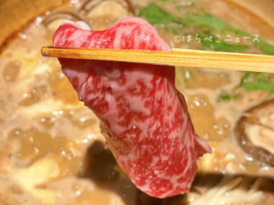 【宿泊レポ】『界 川治』里山のジビエ「和牛と猪の味噌鍋会席」星野リゾートで冬の旅行を満喫！