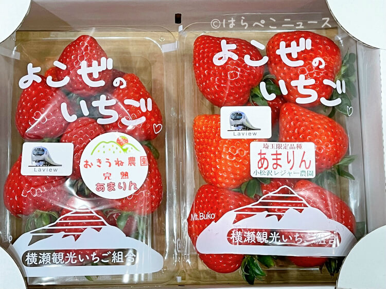 【実食レポ】新品種いちご『あまりん』特急Laviewで運んだ秩父産いちごを体験！楽天市場や通販でも！