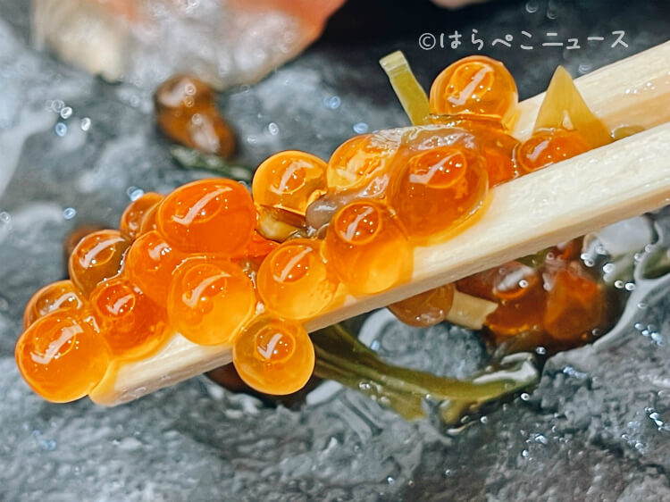 【実食レポ】『廻転とやま鮨 銀座』で本格寿司食べ放題！紅ズワイガニ富山盛り・氷見寒ブリ・海おでん