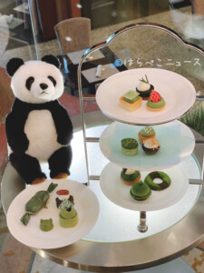 【実食レポ】ANA「シャンパンバー」で『抹茶スイーツブッフェ』パンダに囲まれて抹茶メニューを堪能！