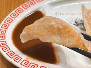 【購入レポ】「おまち堂」の食器でおうち中華！餃子皿・ラーメシバチ・ハチカクバチで炒飯も！