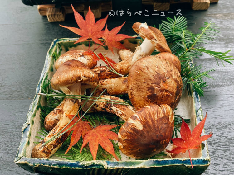 【実食レポ】星のや軽井沢「松茸とシャンパーニュ滞在」を実体験！