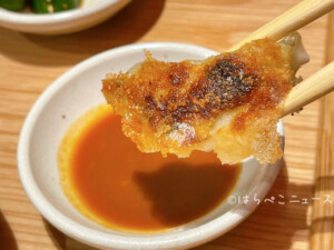 【実食レポ】「餃子歩兵 新宿小田急エース店」生姜ぎょうざにWぎょうざ弁当！期間限定で雲白肉ソースも登場！