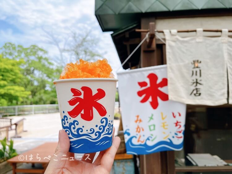 【実食レポ】西武園ゆうえんち初夏のおすすめスイーツ！蜜柑のクリームソーダ・アイス最中・みかんのかき氷！