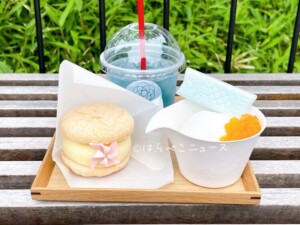 【実食レポ】「むすびcafé 車茶屋」川越氷川神社のカフェトレーラーでかざぐるまのケーキ！空色ライムネードも