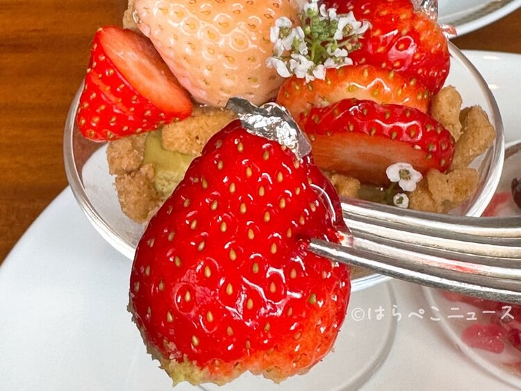 【実食レポ】帝国ホテルでストロベリーアフタヌーンティー「Afternoon Tea "Fraise"」3種のいちご食べ比べ