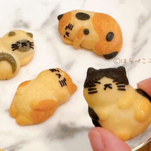 【実食レポ】「おひるねにゃんこはバタークッキーの香り」かわいいネコ形のにゃんバタークッキー！