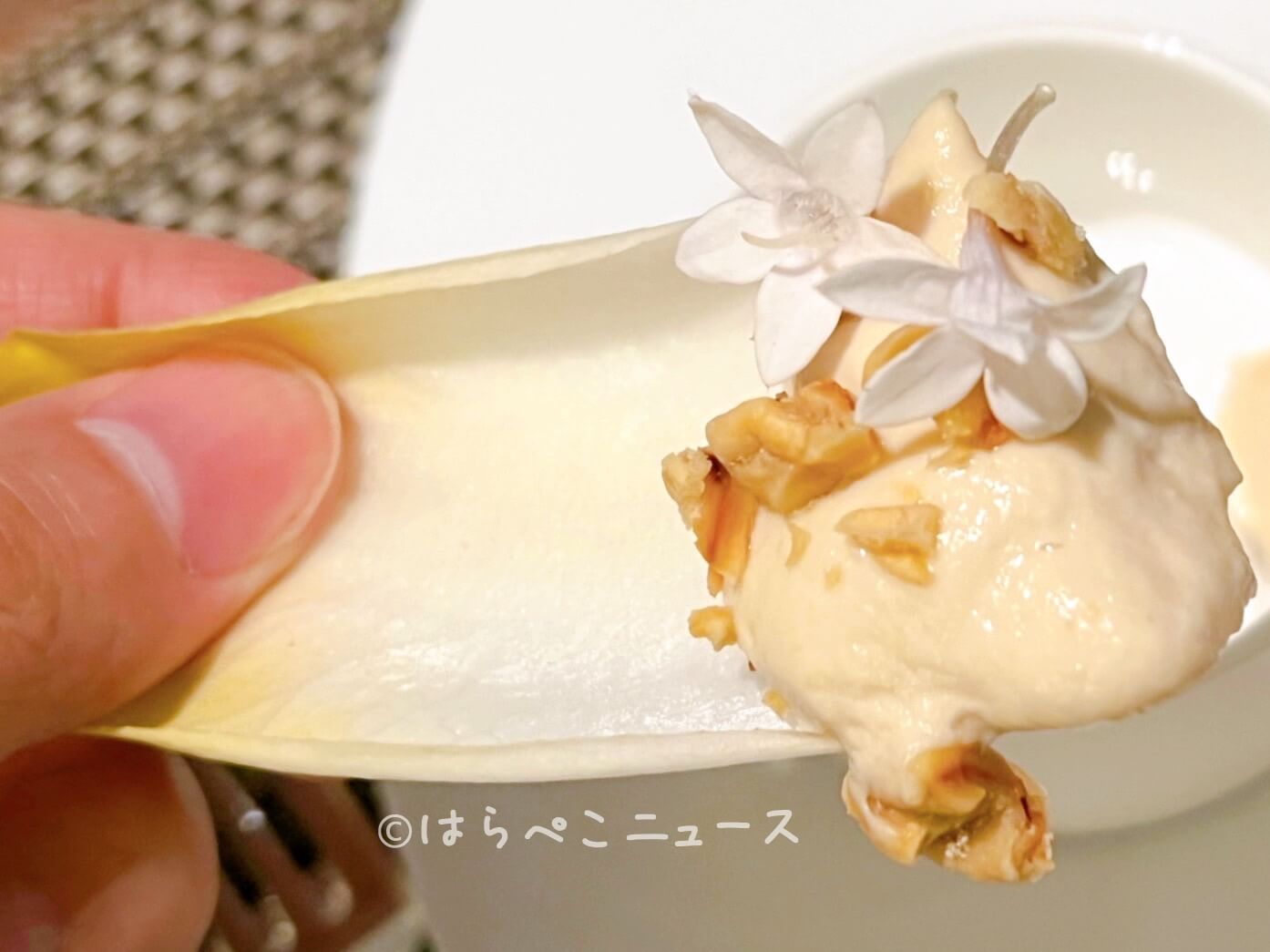 【実食レポ】ホテルグランバッハ東京銀座「ウェルネス・ディナーコース」フレンチ×発酵の冬メニュー