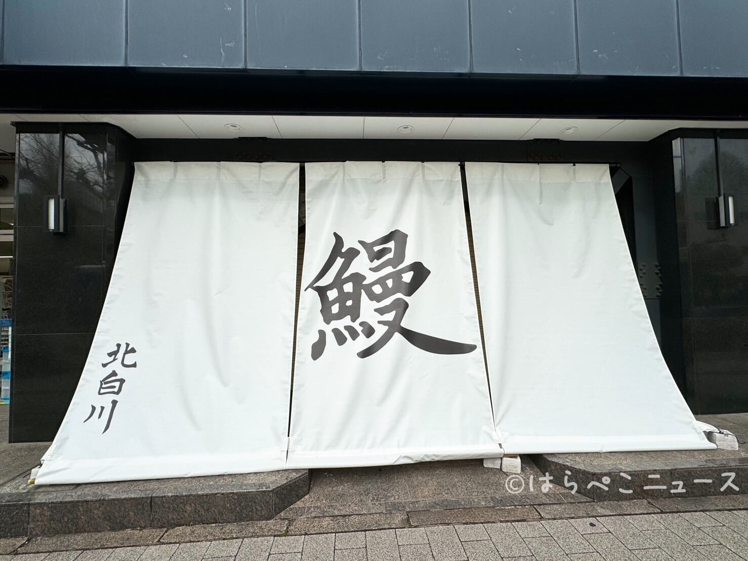 【実食レポ】鰻専門店「北白川」東京・永田町にオープン！地焼きの鰻重にせいろ蒸し！