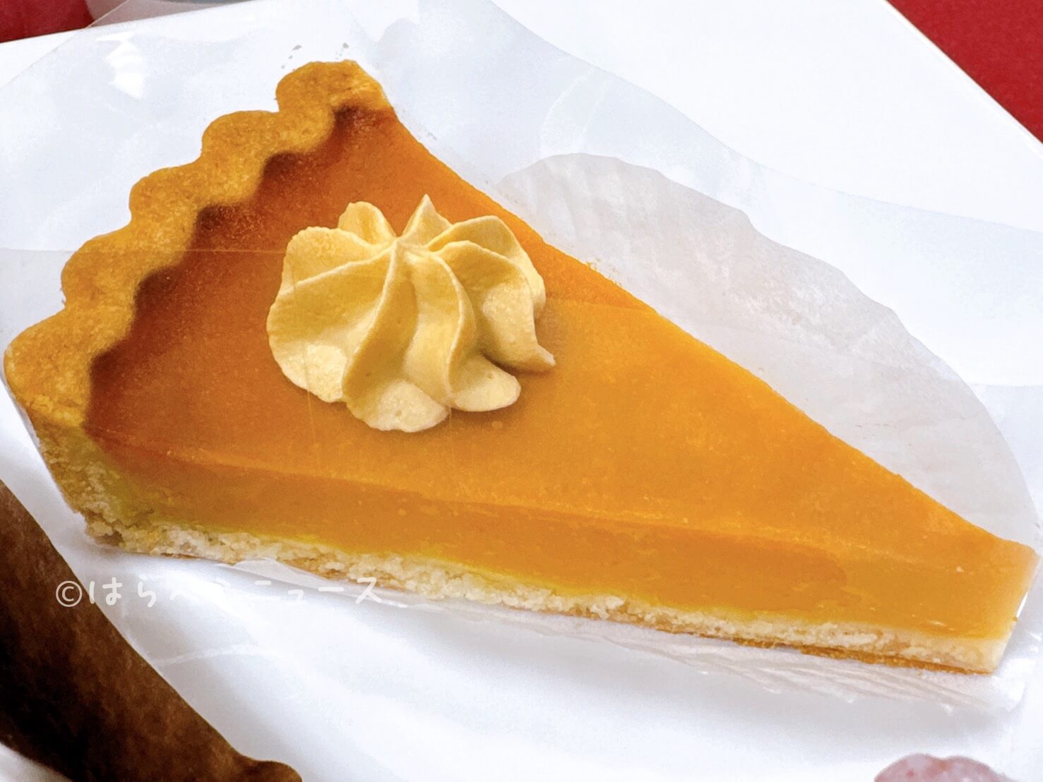 【取材レポ】タリーズ「ベアフルツリー」に「寝そべりベアフルポーチ」ラムレーズンロイヤルミルクティー等も!